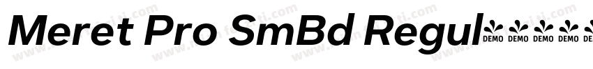 Meret Pro SmBd Regul字体转换